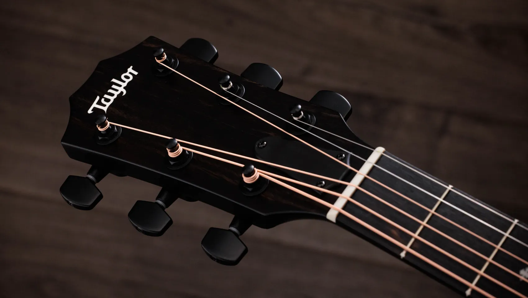 214ce Plus Special Edition, Trans BlueSapeleアコースティック